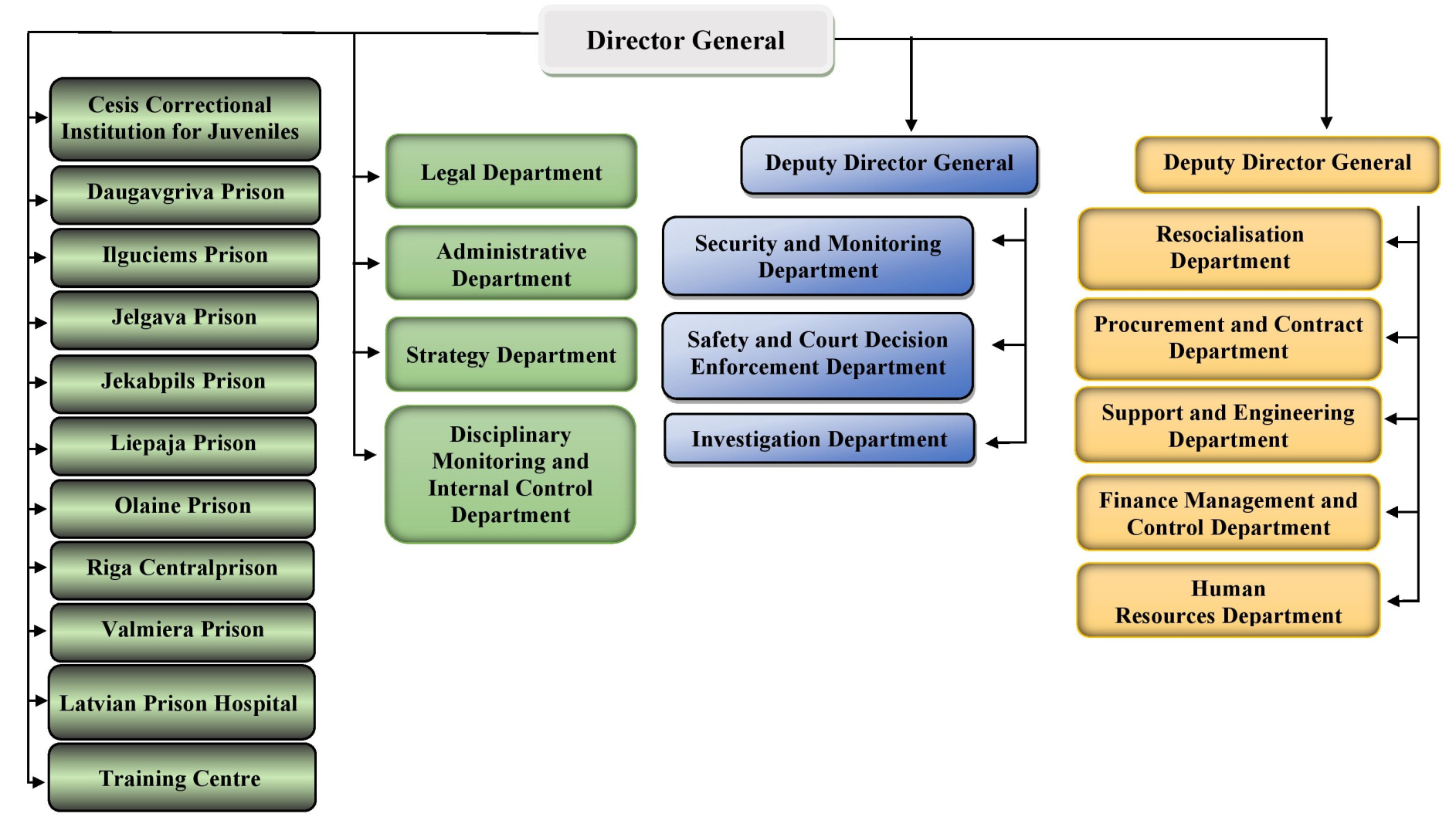 New structure_01.01.2026