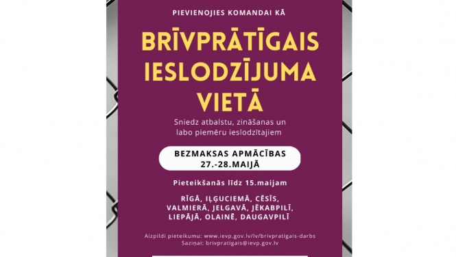 Brīvprātīgais darbs