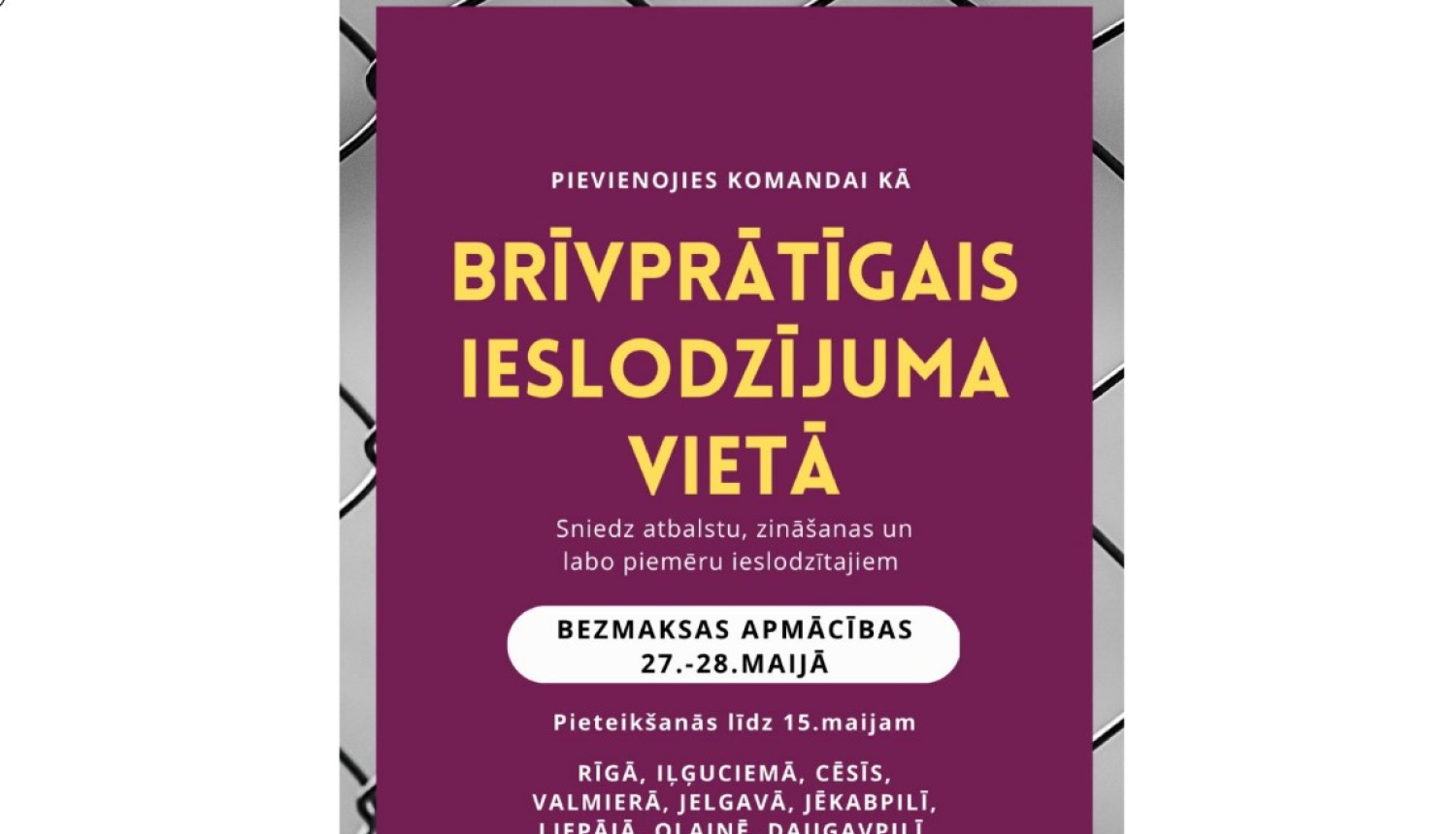 Brīvprātīgais darbs